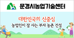 ����� ����������